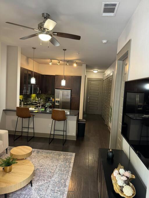 Luxury Downtown Daire